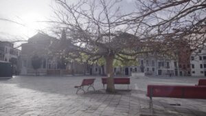 Deserted lockdown Venice city square with branched bare tree