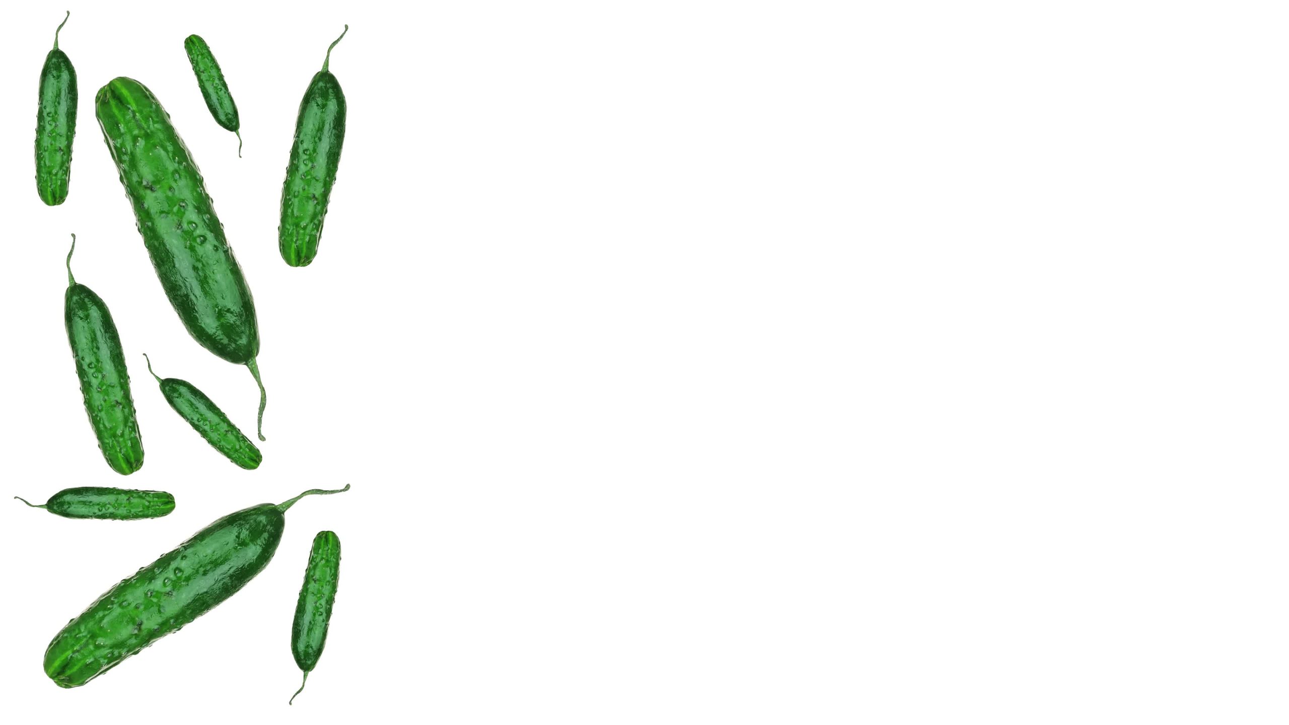 Green cucumbers on a white background with copy space
