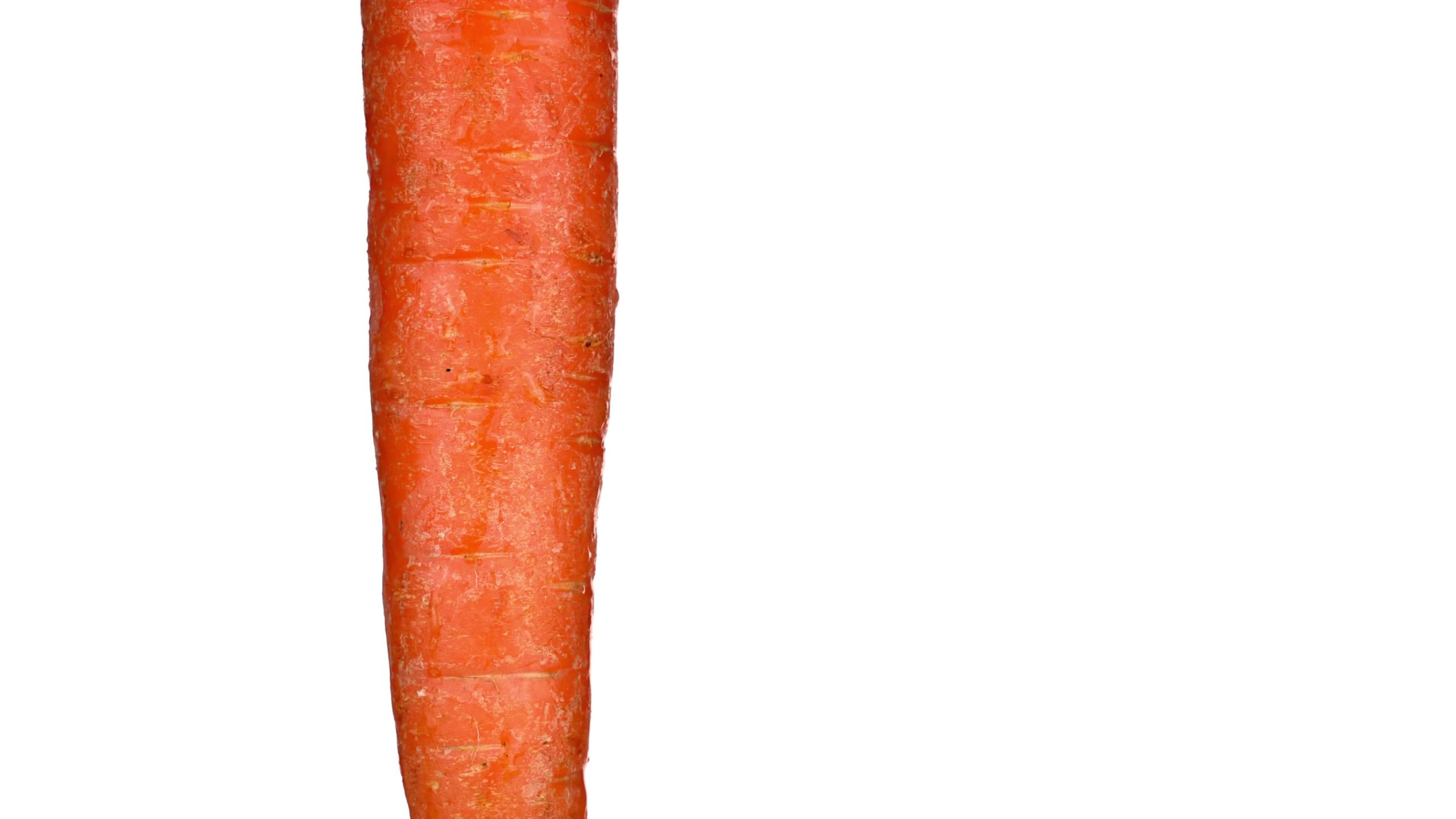La carota arancione fresca gira su fondo bianco