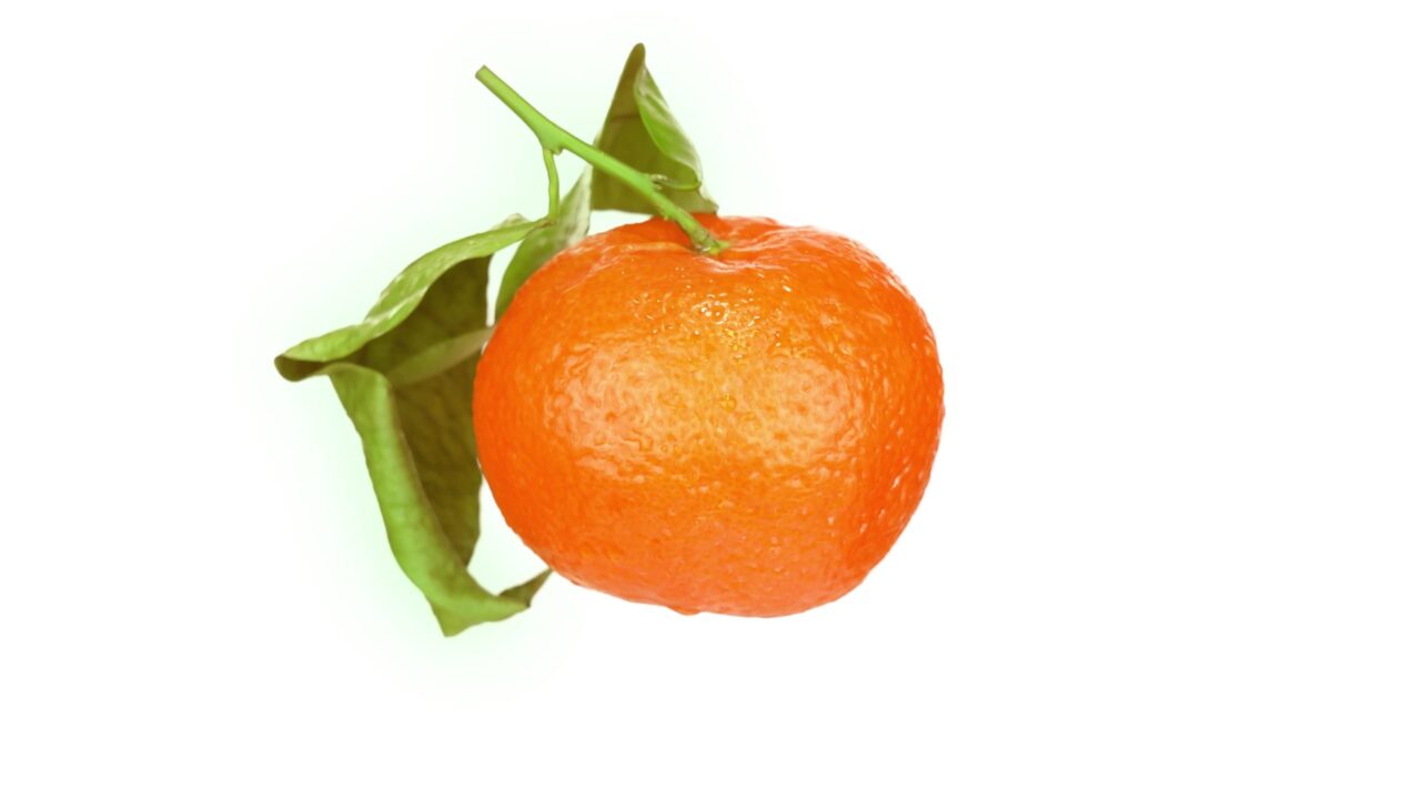 Il mandarino fresco con gambo e foglie gira su bianco
