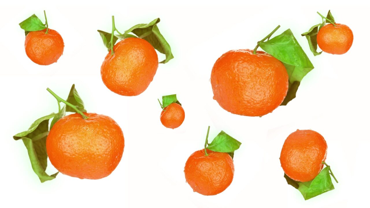 Set di gustosi mandarini bagnati con foglie lussureggianti diventa bianco