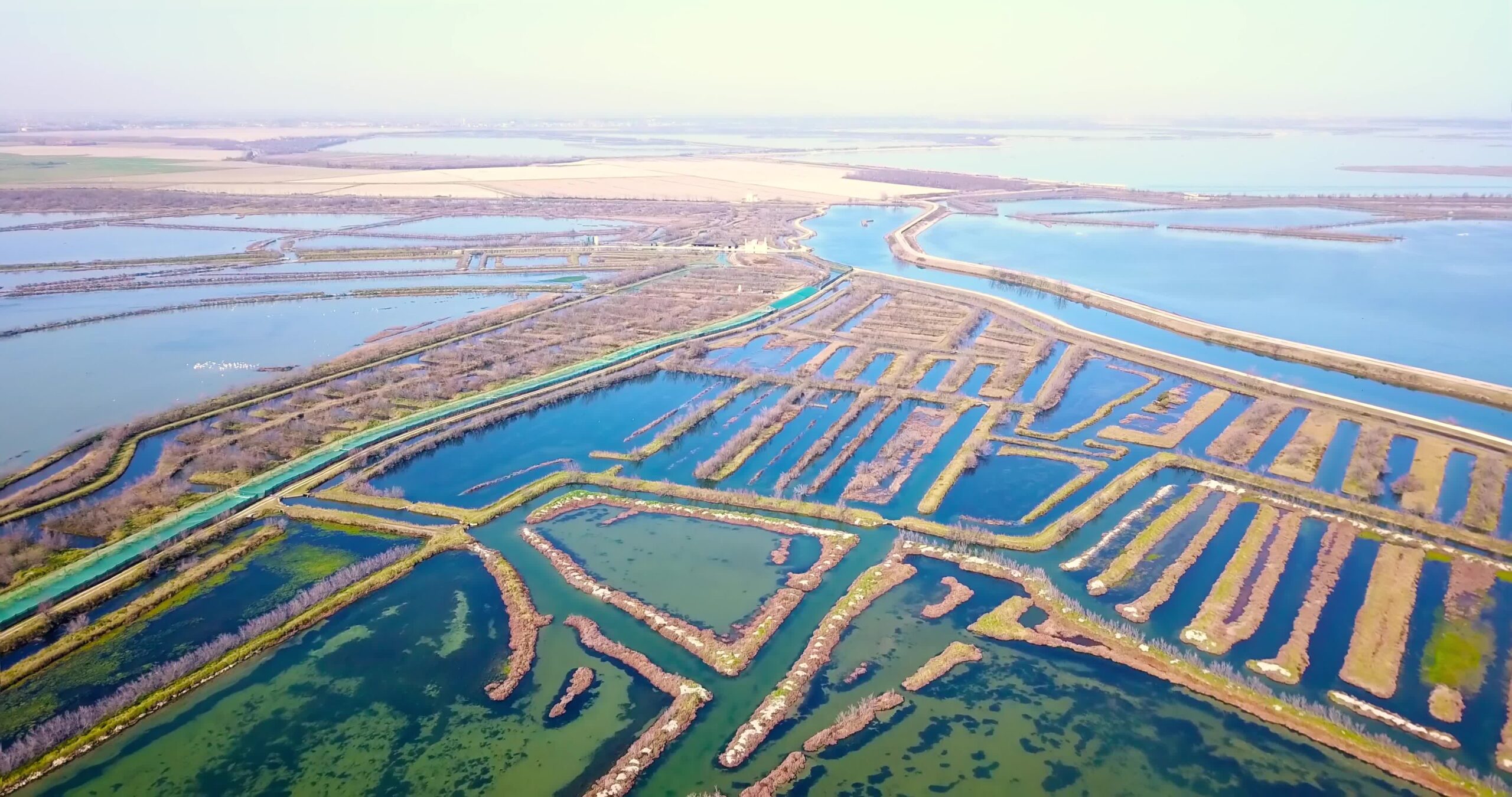 Innumerevoli stagni lagunari di Venezia che scorrono tra stretti polder