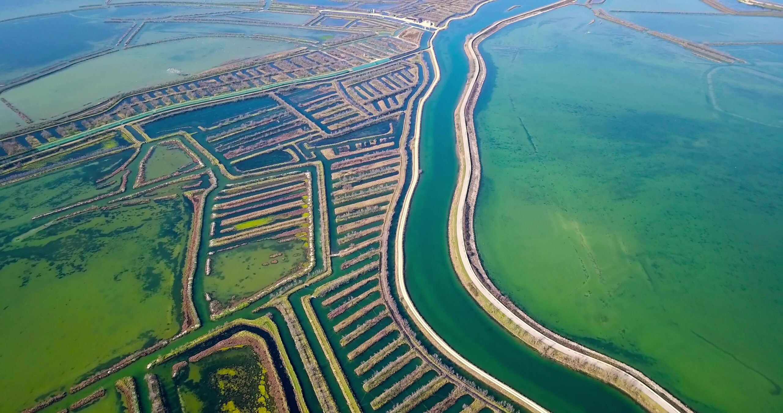 Strada lungo i canali orizzontali di Venezia con fioritura di acque algali