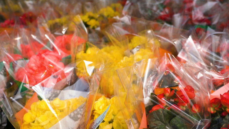 Mazzi di fiori colorati in confezione regalo di plastica trasparente