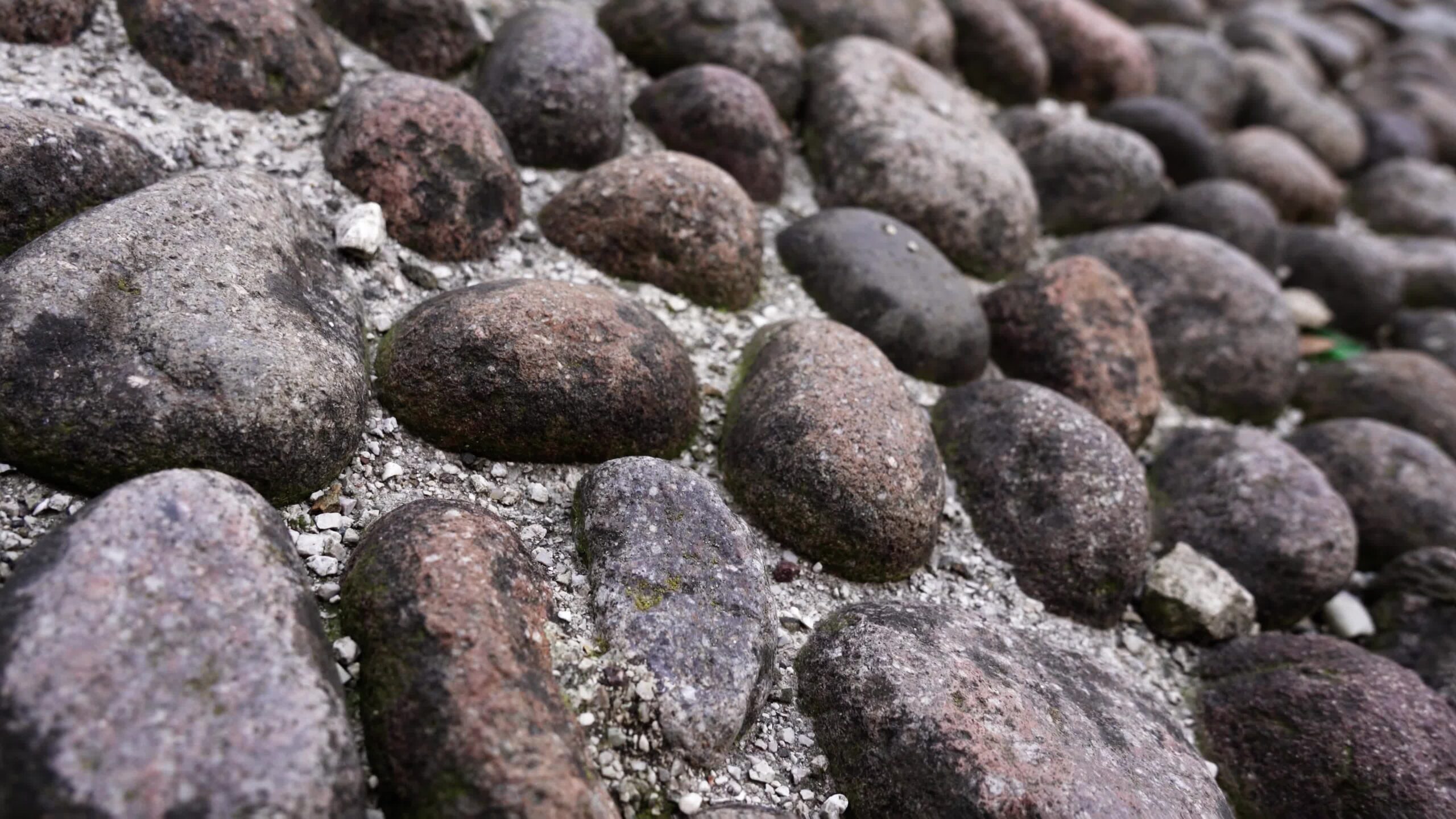 Percorso del giardino di ciottoli con grandi pietre scure consumate a terra