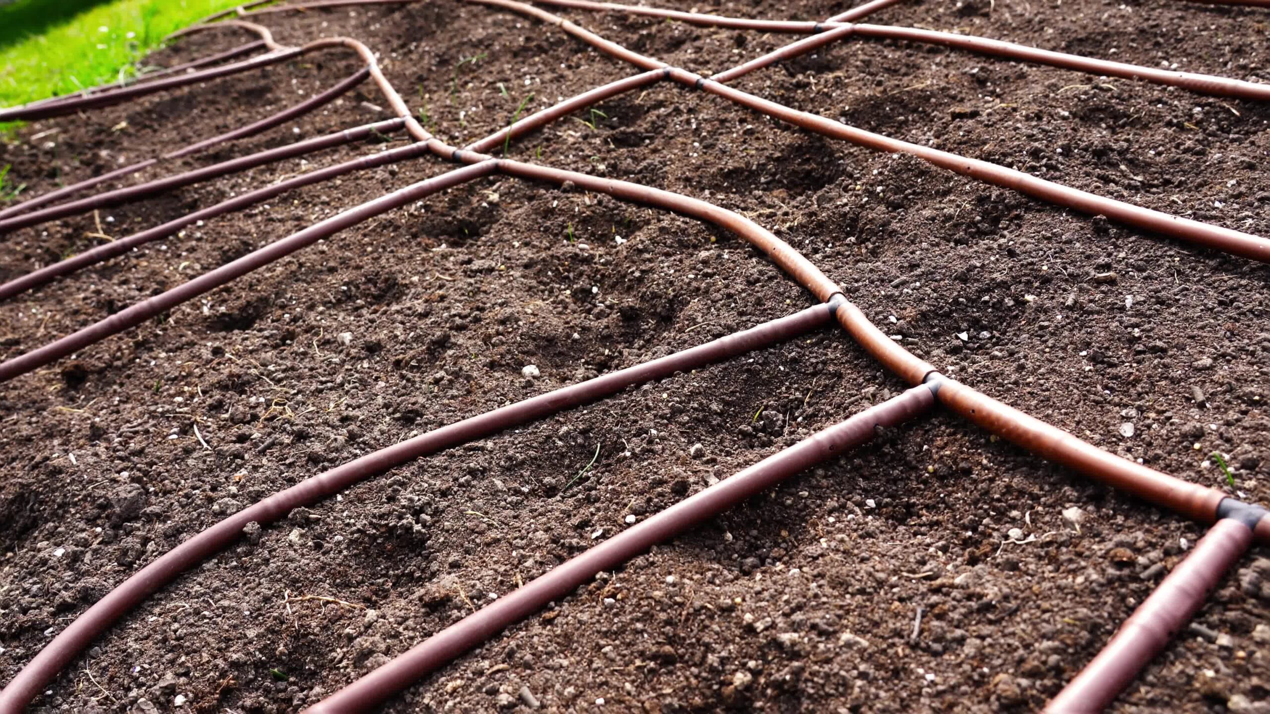 Sistema di irrigazione a goccia con tubi di gomma sul terreno in giardino