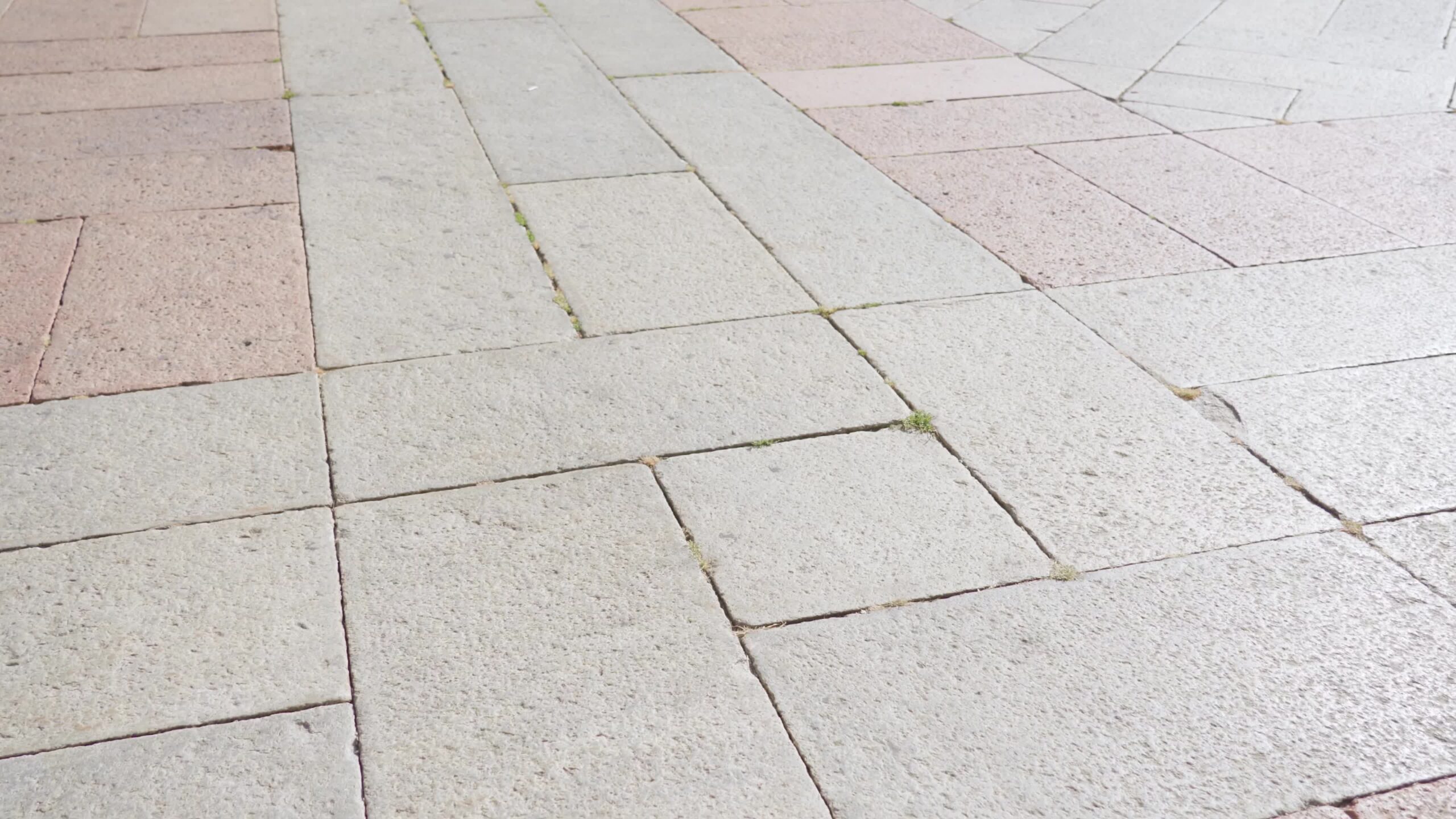 Lastre di cemento con erba tra le fessure adornano la città italiana