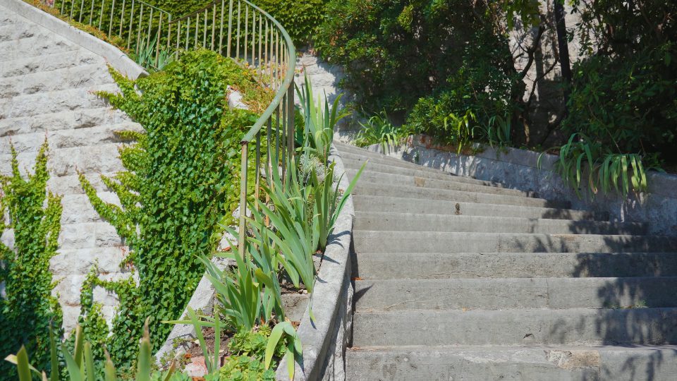 Piante verdi lussureggianti crescono sull’antica parete delle scale