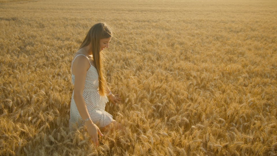 Long-haired woman walks in golden wheat field on sunny day