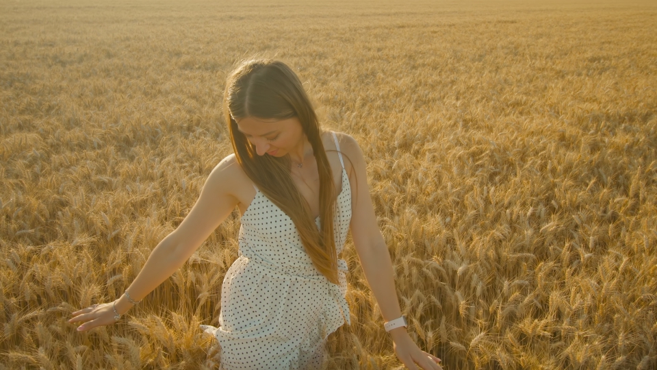Woman enjoys walking in ripe wheat field touching spikelets