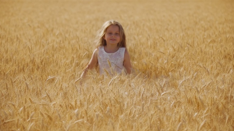 Cheerful girl sits hiding in high wheat field on sunny day