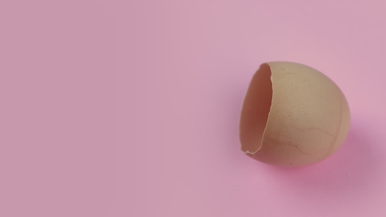 Eggshell on pink background
