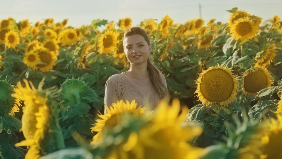 Beautiful woman among yellow sunflower plants
