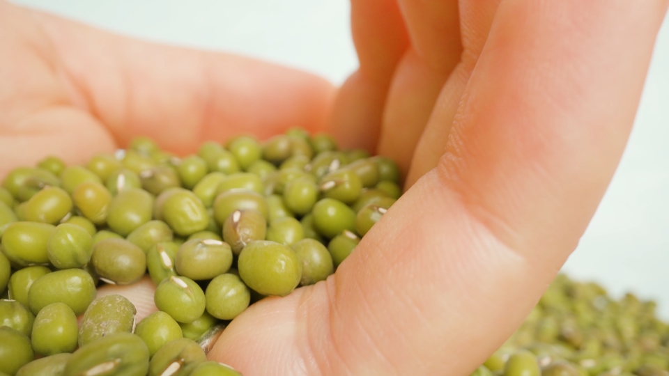 Handful of bright green beans against white studio macro