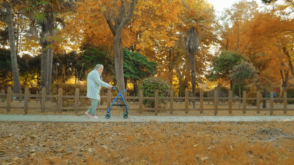 Grandmother walks near fencing using wheelchair-rollator