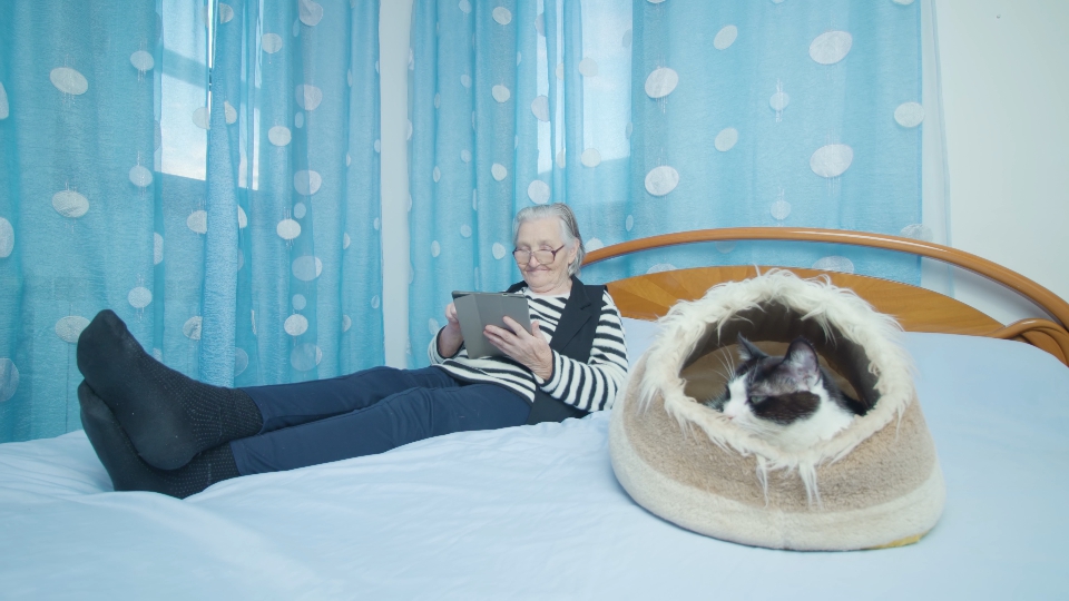 Old woman holding tablet PC lies on bed near spoted kitten