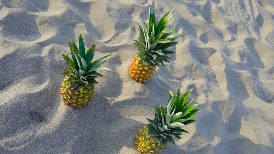 Three pineapples on the sand