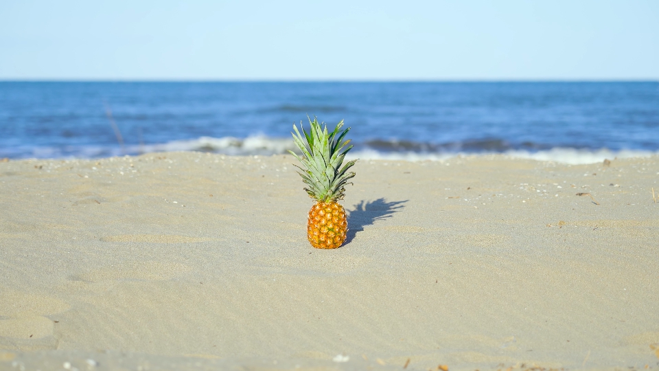 Ananas sulla sabbia nella giornata di sole al mare