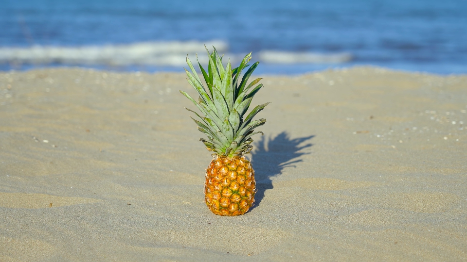 Ananas sulla sabbia nella giornata di sole al mare