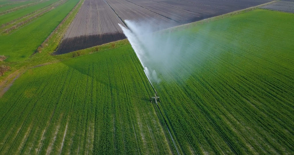 A jet of water is sprayed on the green field