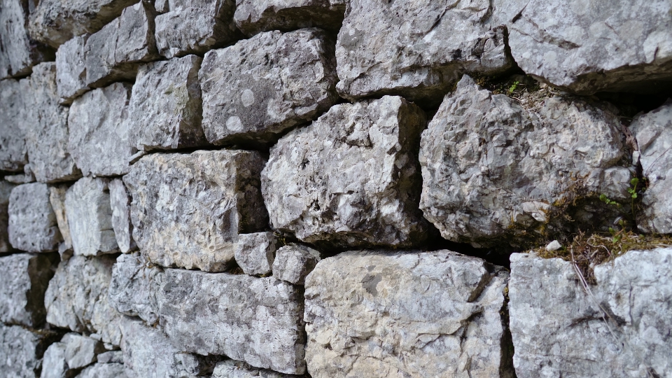 A stone wall among nature