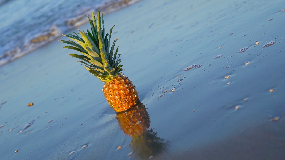 Sea waves bathe pineapples on the sand