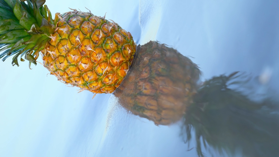 Tasty pineapple is bathed in sea water
