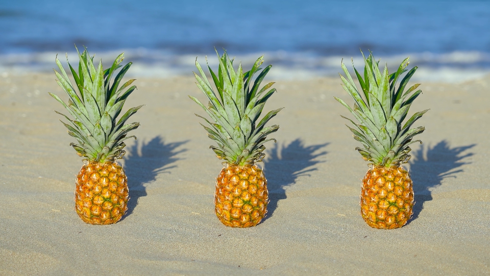 Three pineapples on the sand of the sea